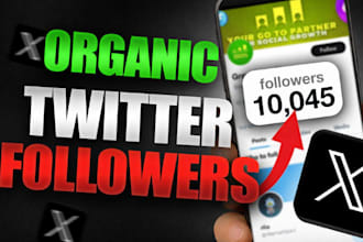 do targeted twitter x promotion, x marketing for organic real followers growth