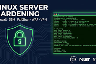secure and harden your linux server professionally