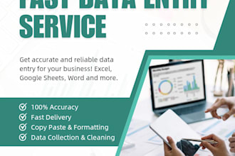 do fast and accurate data entry and content writing