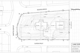 draw land survey plans for you