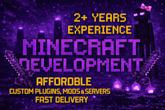 develop professional minecraft plugin or mod and server for you