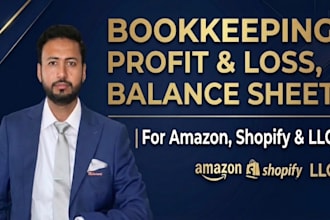 do bookkeeping, profit or loss, balance sheet for amazon, shopify and llc