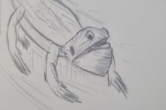 teach you how to draw