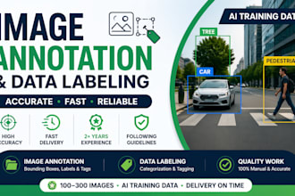 do image annotation, data labeling, and ai training tasks