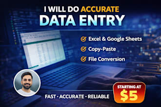 accurate data entry, excel work, and fast typing service