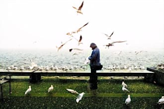 colorize white and black photos