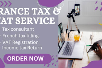 do france tax filing, french tax return, vat declaration, income tax consultant