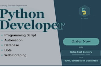be your python programmer for scripts, bots, and automation