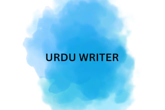 write SEO friendly urdu articles and blogs posts