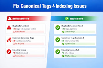 fix canonical tags, duplicate content and URL indexing issues