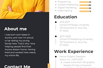 create professional CV in resume in english