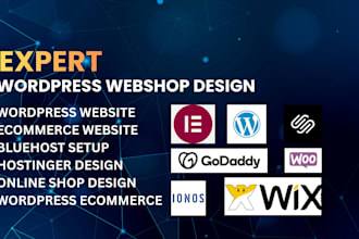 design webshop ecommerce wordpress website on ionos hostinger bluehost godaddy