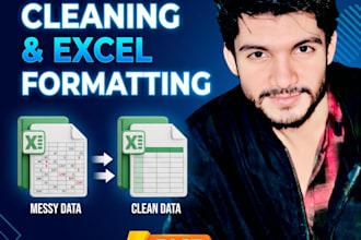 clean, format and organize your excel or data professionally