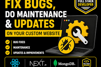 fix bugs, do maintenance and updates on your custom website