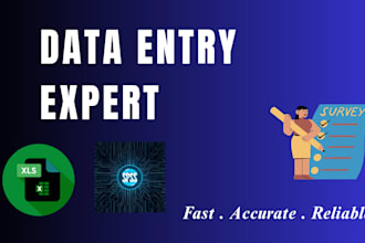do spss data analysis and excel data entry