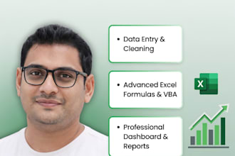do excel data cleaning, formatting and advanced formulas