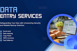 do accurate data entry, data validation and excel work