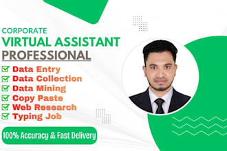 be your virtual assistant for excel data entry and financial auditing