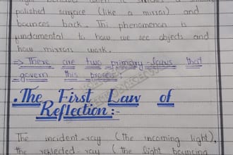 write professional assignments and handwritten notes with diagrams