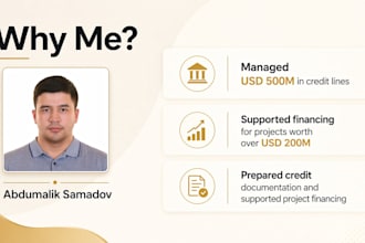 build a financial model and do credit analysis for your business