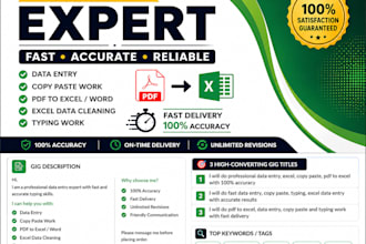 do fast and accurate data entry, copy paste, and PDF to excel