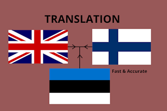 provide professional and accurate translation services