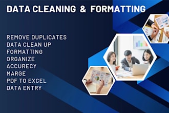 do excel data cleaning and formatting