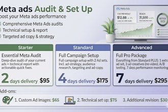 audit or set up your meta ads
