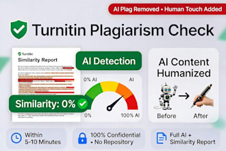 provide plagiarism and ai report for any document