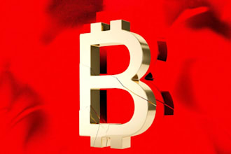 private digital assets investigator, fraud analyst, wallet forensic and detector