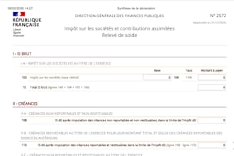 prepare your french tax declaration tva, is and liasse fiscale