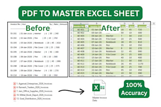 convert PDF to excel with manual accuracy and fast data cleaning