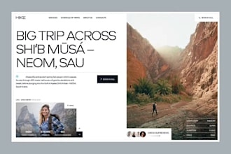 build a professional and responsive websites