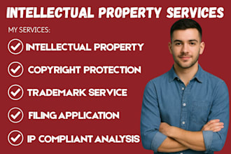 be intellectual property, trademark, patent, and copyright infringement lawyer