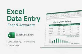 do accurate excel data entry and data cleaning
