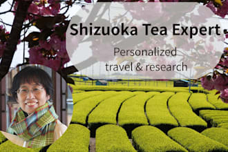 provide expert shizuoka tea research and travel information
