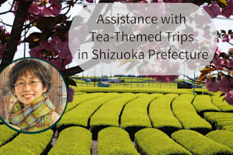 provide shizuoka tea info based on 10 years of reporting