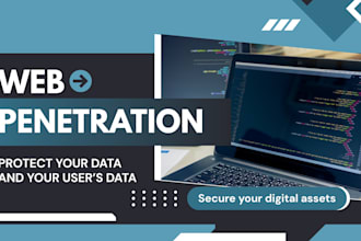 perform web penetration testing and vapt