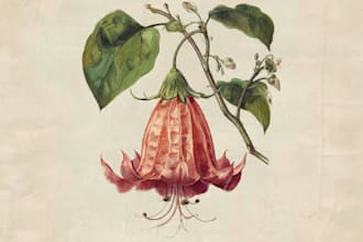 create a beautiful vintage botanical illustration poster