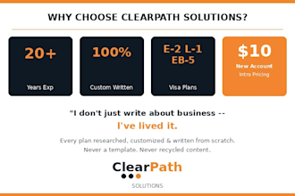 write a professional business plan for funding, investors, or sba loans