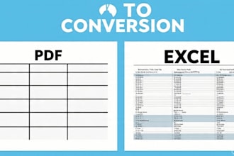 convert PDF to excel spreadsheet fast and  accurate