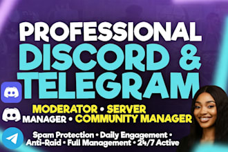 be your active discord moderator, admin and community manager