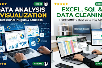 provide professional data analytics