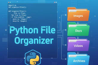 create a python script to organise your files