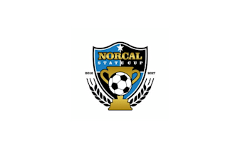 design looks nice premier soccer state cup logo