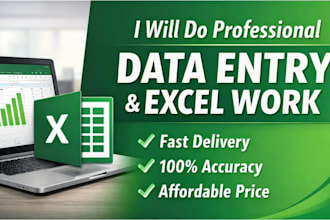 do excel data entry and data cleaning professionally
