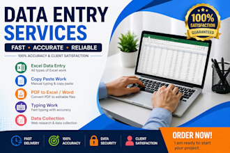 do fast and accurate data entry, typing, copy paste and excel work