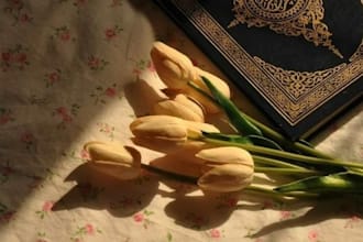 teach quran reading and noorani qaida to ladies and kids online