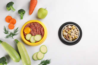 create custom pet nutrition recipes and supplement formulas