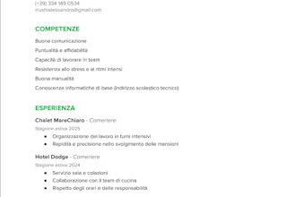 design a professional CV resume